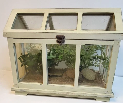Vintage Terrarium glass display case cabinet Table Top Mini Green House Planter Cover