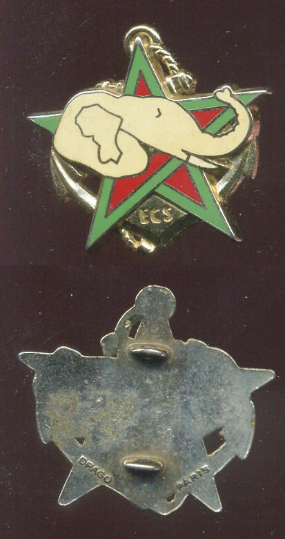 TDM / RICM ECS - TYPE 1 - DRAGO - Photo 1/1