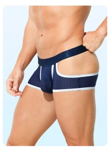 Calzoncillos boxer de malla sexy gay calzoncillos hombres ropa interior elástico bikini bragas EE. UU. - Imagen 1 de 19