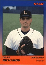 1989 Lakeland Tigers Star #18 Dave Richards