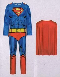 Superman Kostüm Superheld 20 Gr L (52/54) 2-teilig Fasching Karneval Verkleidet - Bild 1 von 1