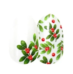 Color Street Nail Strips * BERRY MERRY * Retired Holiday ~ NIP - Picture 1 of 2
