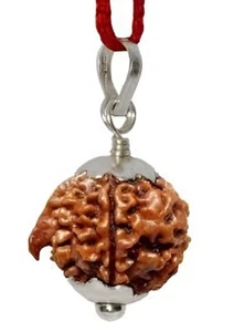 Ganesh Rudraksha Nepal Natural Trunk Rudraksha Pure Silver Pendant Certified - Picture 1 of 1
