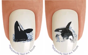 Nail Art 2206 ANIMAL Whales Orca Sea Life WaterSlide Nail Decals Transfers - Picture 1 of 3