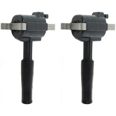 98 - 2003 捷豹 XJ8 97 - 2002 XK8 2 件套点火线圈 — 第 1/4 张图片