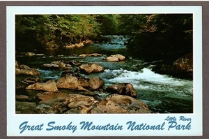 UNUSED Little River , Great Smoky Mountains Nat Park Postcard - I Combine S/H - Bild 1 von 2