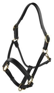 COLLAR CABEZA DE CUERO DE CABALLO TOTALMENTE ELEVADO Y ACOLCHADO, COLOR NEGRO TODAS LAS TALLAS - Imagen 1 de 1