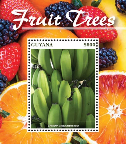 Guyana 2015 - Fruit Trees - Banana - Stamp Souvenir Sheet MNH - Image 1 of 1