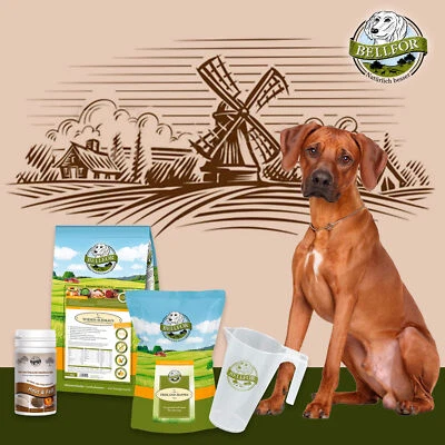 Bellfor Hundefutter Trocken Soft Snack Huhn Haut & Fell Pulver Sparset 4,28 kg - Bild 1 von 4
