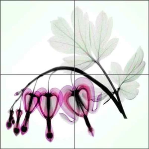Bleeding Heart Tile Backsplash Pham Floral Flower Art Ceramic Mural OB-HP25a - Picture 1 of 6