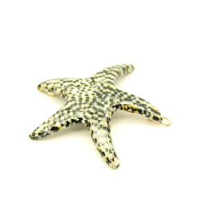 Cordón Estrella de Mar Hecho en Francia Nuevo - Imagen 1 de 1