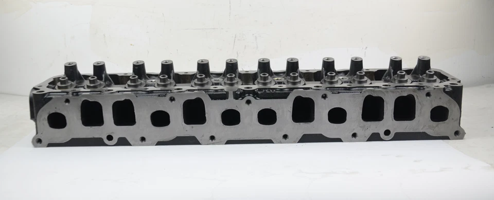 Culata 53010334 para Jeep Cherokee/Grand Cherokee WJ Wrangler TJ 4,0 L I6 Foto 1 de 1