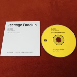A Short Cut To Teenage Fanclub RARE PROMO Advance CD Jetset Records 2003 Best Of - Picture 1 of 2