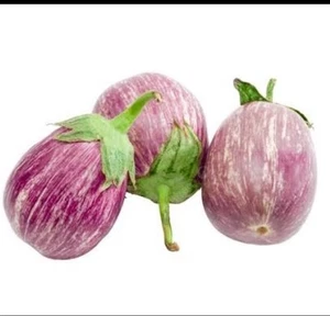 Angelina Graffiti Eggplant Seeds – 50 Seeds Italian Heirloom Variety, High Yield - Picture 1 of 2