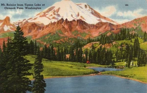 Berg Rainier vom Tipsoo Lake am Chinook Pass Washington • Leinen verschickt 1951 - Bild 1 von 2