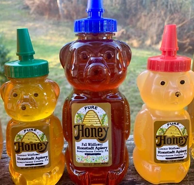 100% Pure Raw PA Mountains Wildflower Honey 12 Oz  Plastic squeeze bear bottle - Image 1 of 4
