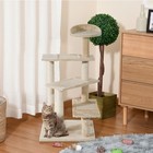 Cat Tree Indoor, 100cm Kitten Plush Climbing Tower with Scratching Post Beige