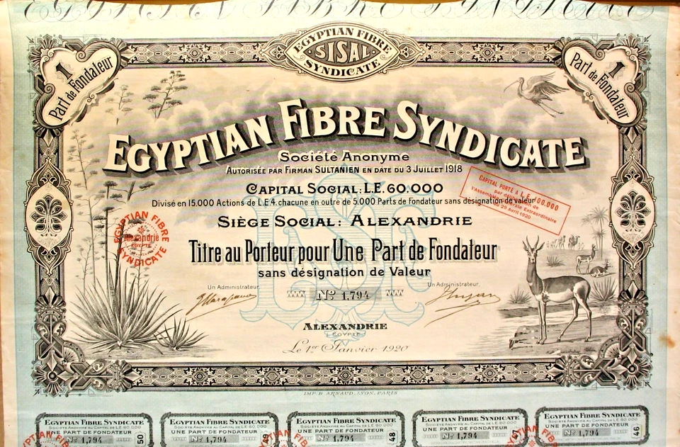 Egyptian Fibre Syndicate S.A. Egipto Alejandría hist. Acciones 1920 África Sisal Foto 1 de 1