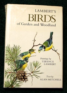 LAMBERT'S BIRDS Of Garden And Woodland, Mitchell, Lambert HC DJ 1976 Scribner's - Imagen 1 de 20