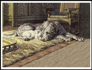 IRISH WOLFHOUND WESTIE TERRIER ASLEEP BY FIRE VINTAGE STYLE DOG ART PRINT POSTER - Picture 1 of 1