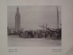 The Freedom Tower Biscayne Blvd Harbor Miami Florida 1927 Edward Hoppe Photo - Picture 1 of 2
