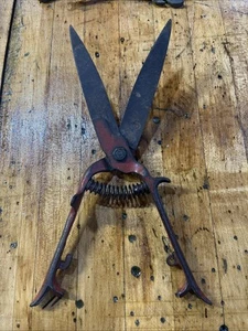 RARE VINTAGE UNUSUAL ANTIQUE HAND PRUNING SHEARS COLCUT COMPANY IN PA 12.5" LONG - Picture 1 of 10