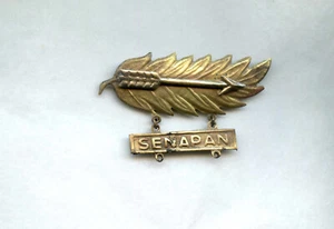 PARACHUTISTE Brevet a identifier Pays ?? SENAPAN ( TireurElite ?) - Imagen 1 de 2