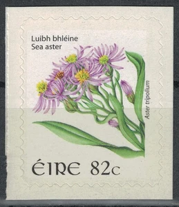 IRLANDA 2009 Fiori, Sea Aster MNH** - Picture 1 of 1