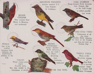 Eight piece Vintage Birds puzzle - Look excellent condition. - Picture 1 of 2