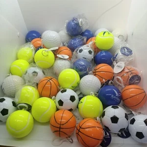 Bulk Lot Of Rainbird Poncho's 43 Hardcased Sporting Balls Basketball Soccer Golf - Picture 1 of 10