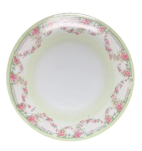 Antique German China Dinner Plate Rare Green With Floral Accent Unusual Color - Picture 1 of 4