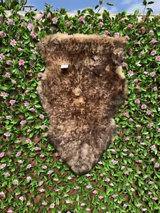 LIGHT RED FOX Brown Tipped Tips - REAL AUSTRALIAN GENUINE Brown Medium - Picture 1 of 23