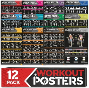 [12-PACK] Laminated Large Workout Poster Set - Perfect Workout Posters for Home  - Picture 1 of 6