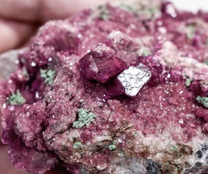 4.17" COBALTO DOLOMITE Cobaltoan Kakanda Mine, Congo Q775 - Picture 1 of 5