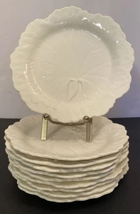 10 Wedgewood Etruria Barlaston Weißkohl 8" Teller Salat Dessert England - Bild 1 von 24