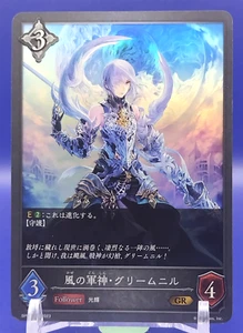 Tarjetas japonesas Grimnir/Shadowverse EVOLVE seguidor Japón TCG BP04-119 2023 - Imagen 1 de 10
