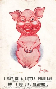 Postal de humor NEWPORT 1911 REG CARTER un poco piguliar pero me gusta - Imagen 1 de 2