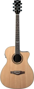 GUITARE ELECTRO ACOUSTIQUE AUDITORIUM CUTAWAY EKO NXT-A100CWE-NAT - Picture 1 of 6