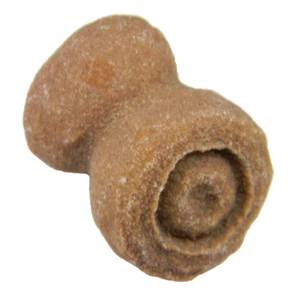 Stromatolite Fossil Morocco Small 17.90 grams - Picture 1 of 5