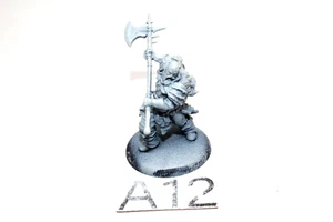 A Song of Ice and Fire Free Folk Jarl Well Painted A12 - Picture 1 of 1