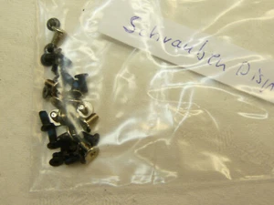 Display Schrauben aus einem Dell Inspiron 17 5000 - Bild 1 von 1