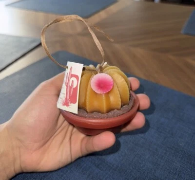 Vintage 1999 Waccents Realistic Potted Cactus Candle NWT - Image 1 of 4