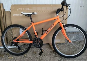 BICI BICICLETTA MTB BAMBINO 24 GALANT - Foto 1 di 5