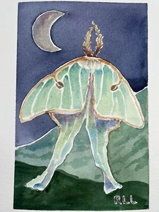 Roberta Larson Original Watercolor Painting Moth In Moonlight 11x8” Fine Art - Picture 1 of 11