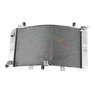Enfriador de radiador de refrigeración del motor para Suzuki GSX1300R 1999-2007 2000 2001 2002 03 - Imagen 1 de 5