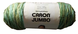 Caron Jumbo Folliage Green Variated Yarn Skein Lot # 2023-02-32, 595 Yds. 12 oz. - Picture 1 of 8