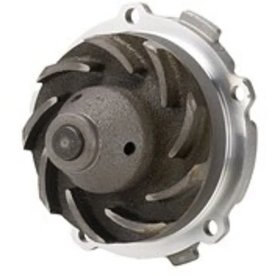 Bomba de agua DP960 Dayco para Chevy Olds Cutlass Buick Rendezvous Chevrolet Malibu Foto 1 de 2