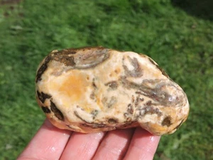 9 Unzen Opalisierter RHYOLITH Zuckerachat Knötchen mit Tube Inkl. UNERADE & UNGEWÖHNLICHE Geologie - Bild 1 von 21