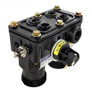 Pentair MasterTemp 125 Manifold Kit | 474972 - Picture 1 of 1