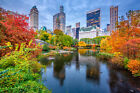 Fototapete Central Park New York Herbst - Kleistertapete oder Selbstklebende 